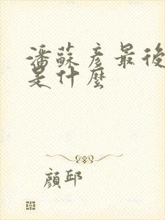 潘苏彦最后结局是什么