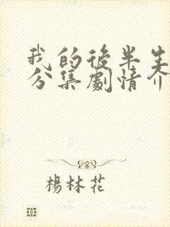 我的后半生剧情分集剧情介绍大结局