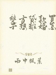 双方贷款买的房子想离婚怎么办