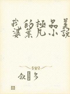 我的极品美女老婆叶凡小说