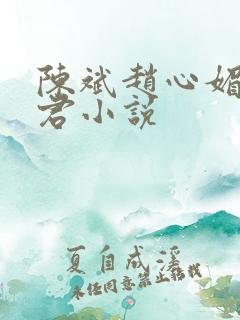 陈斌赵心媚高婉君小说