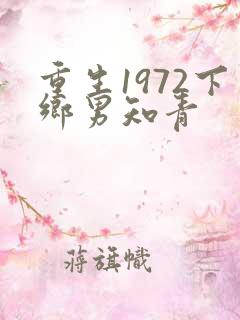 重生1972下乡男知青