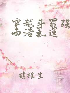 穿越斗罗强夺霍雨浩气运