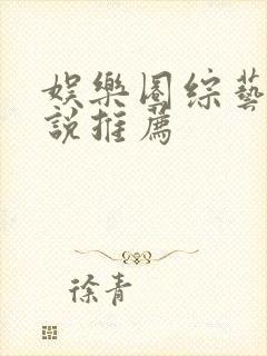 娱乐圈综艺的小说推荐