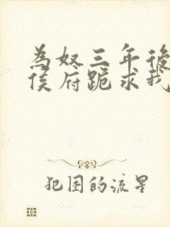 为奴三年后整个侯府跪求我原谅小说别名