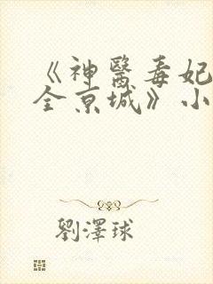 《神医毒妃燃爆全京城》小说