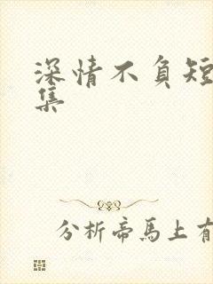 深情不负短剧全集