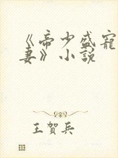 《帝少盛宠呆萌妻》小说