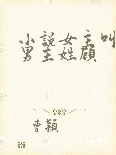 小说女主叫温暖男主姓顾