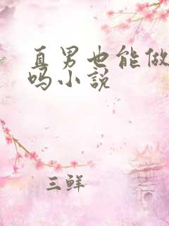 直男也能做老婆吗小说