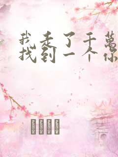 我走了千万里才找到一个你什么歌