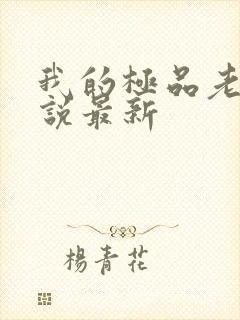 我的极品老婆小说最新