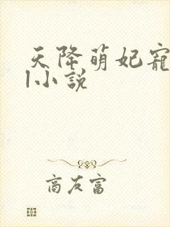 天降萌妃宠翻天l小说