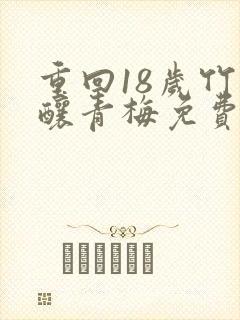 重回18岁竹马酿青梅免费全集