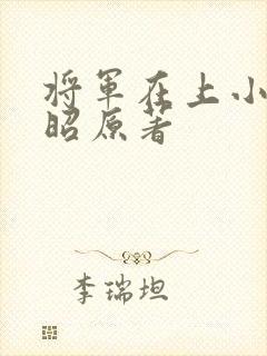 将军在上小说叶昭原著