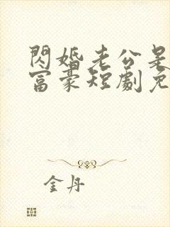 闪婚老公是超级富豪短剧免费观看