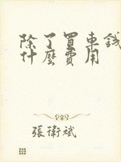 除了买车钱还有什么费用