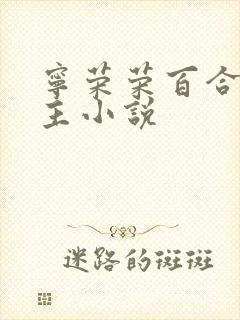 宁荣荣百合双女主小说