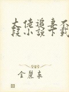 大佬追妻不择手段小说下载