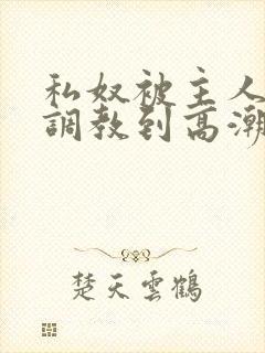 私奴被主人玩弄调教到高潮视频