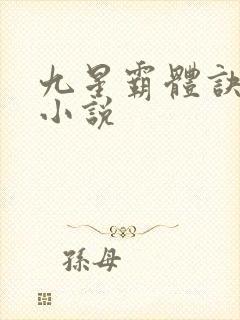 九星霸体诀2k小说