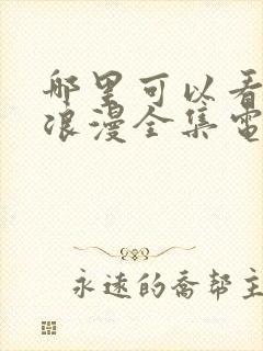 哪里可以看私藏浪漫全集电视剧