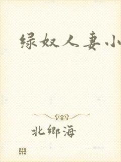绿奴人妻小说