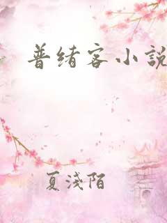 普绪客小说