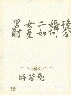 男女二婚后离婚财产如何分割