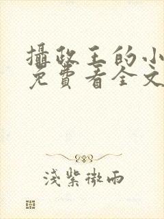 摄政王的小闲妻免费看全文