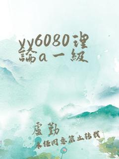 yy6080理论a一级