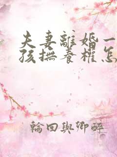 夫妻离婚一个小孩抚养权怎么判