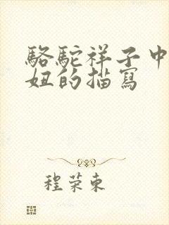 骆驼祥子中对虎妞的描写