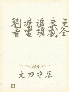 刘墉追案免费观看电视剧全集