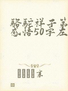 骆驼祥子第一章感悟50字左右