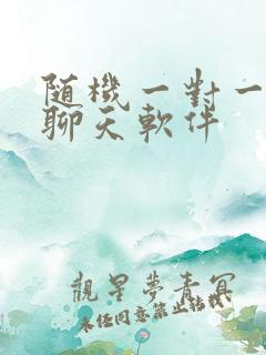 随机一对一语音聊天软件