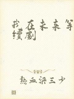 我在未来等你连续剧