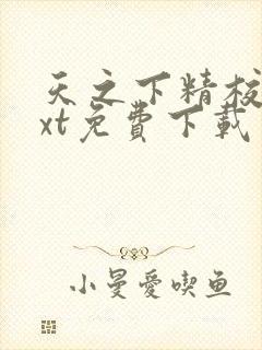 天之下精校版txt免费下载