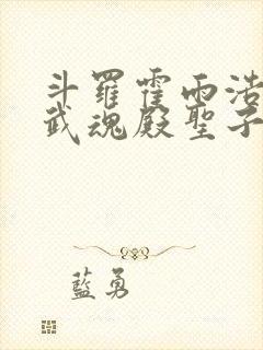 斗罗霍雨浩成为武魂殿圣子