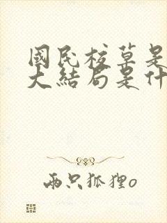 国民校草是女生大结局是什么