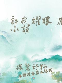 许我耀眼 原著小说