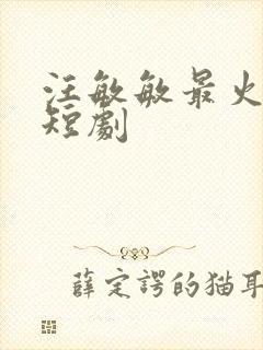 汪敏敏最火十部短剧