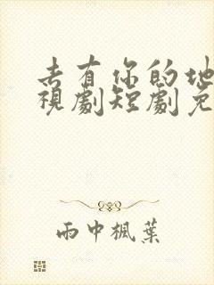 去有你的地方电视剧短剧免费观看