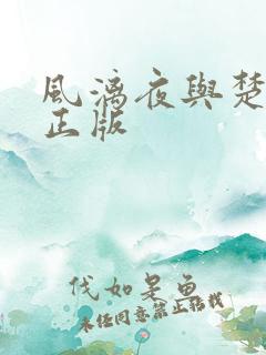 风漓夜与楚倾歌正版