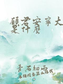 愿君安宁大结局是什么