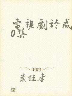 电视剧于成龙40集