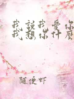 我说我爱你我说我想你什么歌