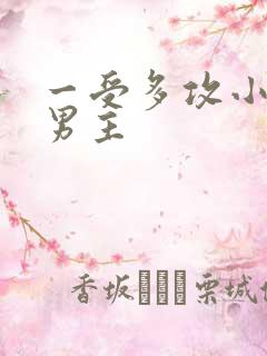 一受多攻小说双男主