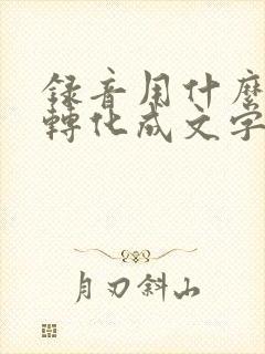 录音用什么软件转化成文字