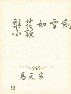 梨花如雪剑如龙小说